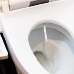 toilettes japonnaises