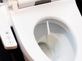 toilettes japonnaises