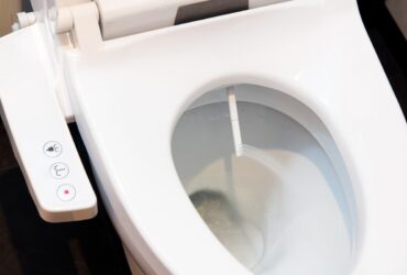 toilettes japonnaises