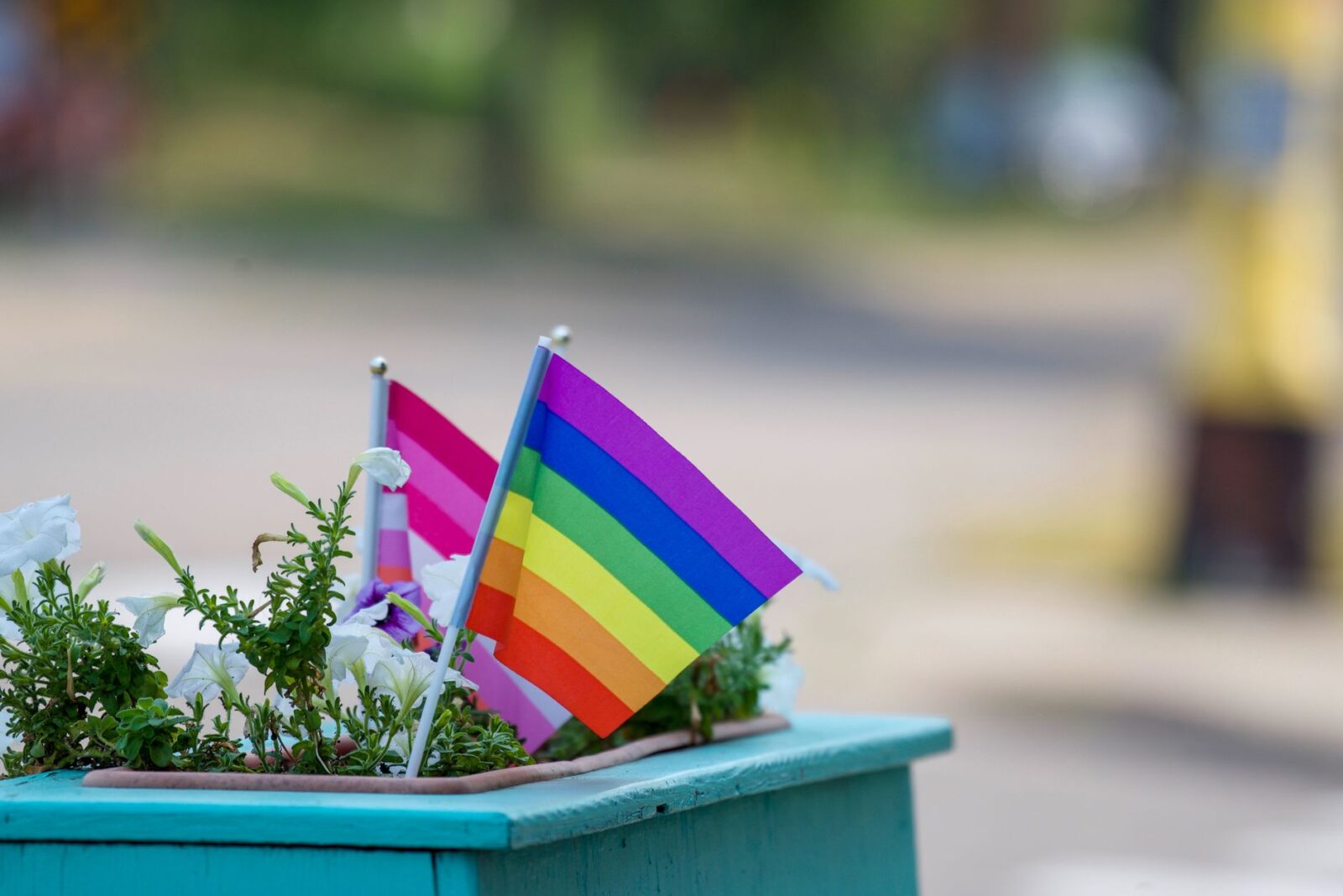 Drapeaux de fierté colorés lors d’un événement inclusif