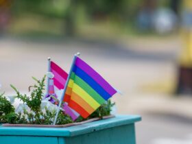 Drapeaux de fierté colorés lors d’un événement inclusif